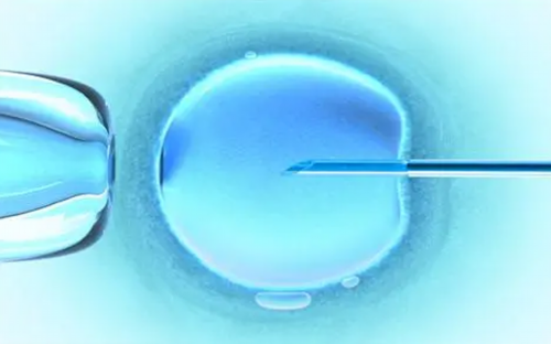 供卵助孕：让爱与生命延续的神奇之旅