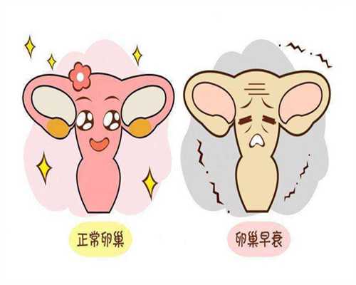 鲜胚移植的心理准备：迎接新生命的心理建设