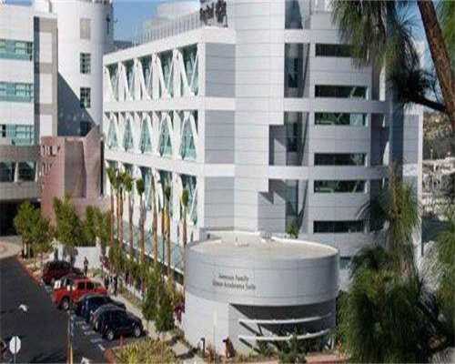 供卵费用全知道：明细清单与注意事项