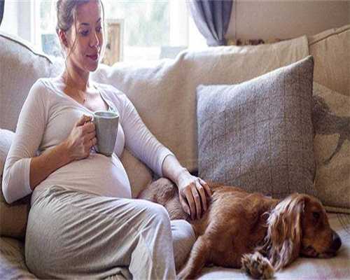 探索供卵费用构成，避免不必要的支出