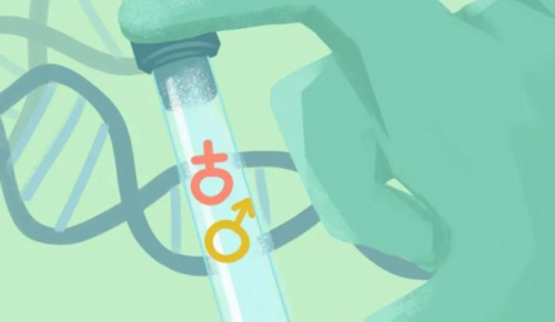 供卵试管联系#上海市第一人民医院三代试管能选男女吗？附详细成功率