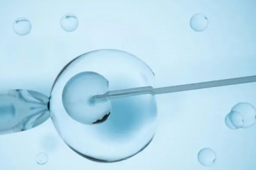 双胞胎试管成功率有多高？真实案例告诉你