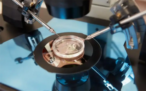 代生服务平台:紧急避孕药对卵巢功能有危害