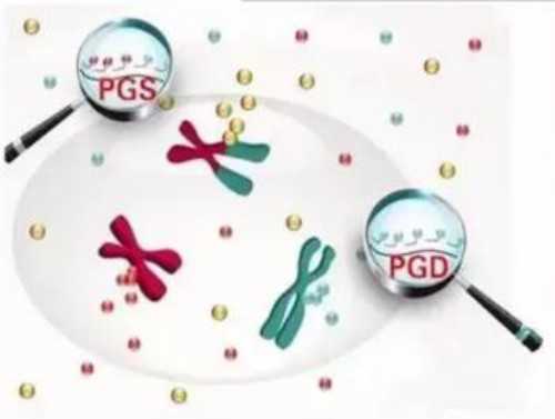 供卵助孕：生育路上的新曙光与新挑战