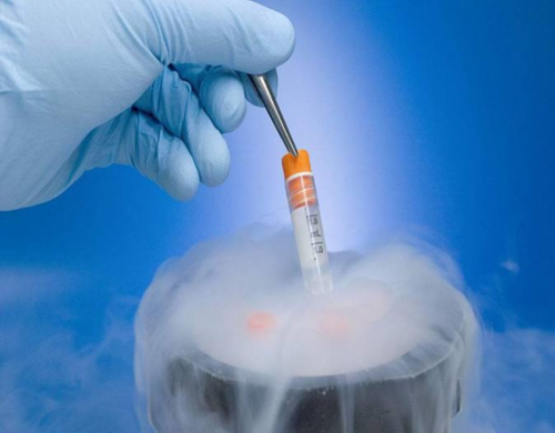 上海供卵机构如何实现100%基因筛查保障？