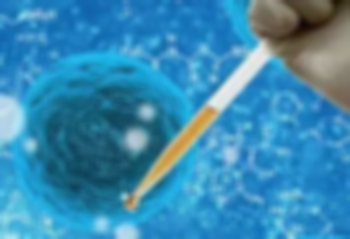 鲜胚移植的运动建议：适度运动助好孕