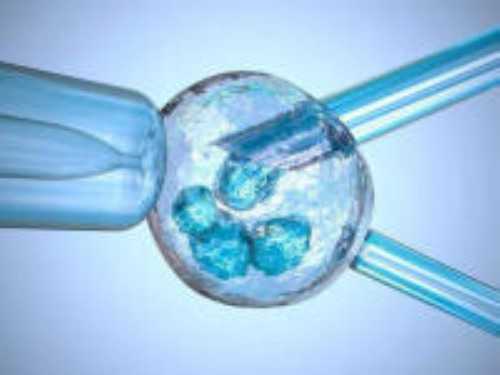 供卵咨询:6bb囊胚质量好不好？