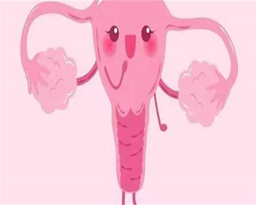 上海供卵机构如何保障捐赠者健康资质？