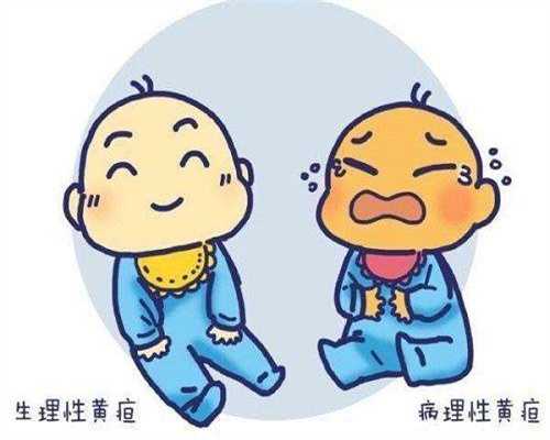 鲜胚移植的未来展望：技术进步与新希望