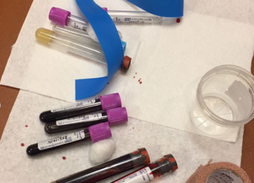 鲜胚移植的饮食调理：吃出好孕来