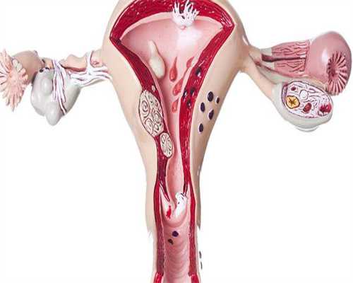 上海三代试管供卵前AMH值检测意义解析